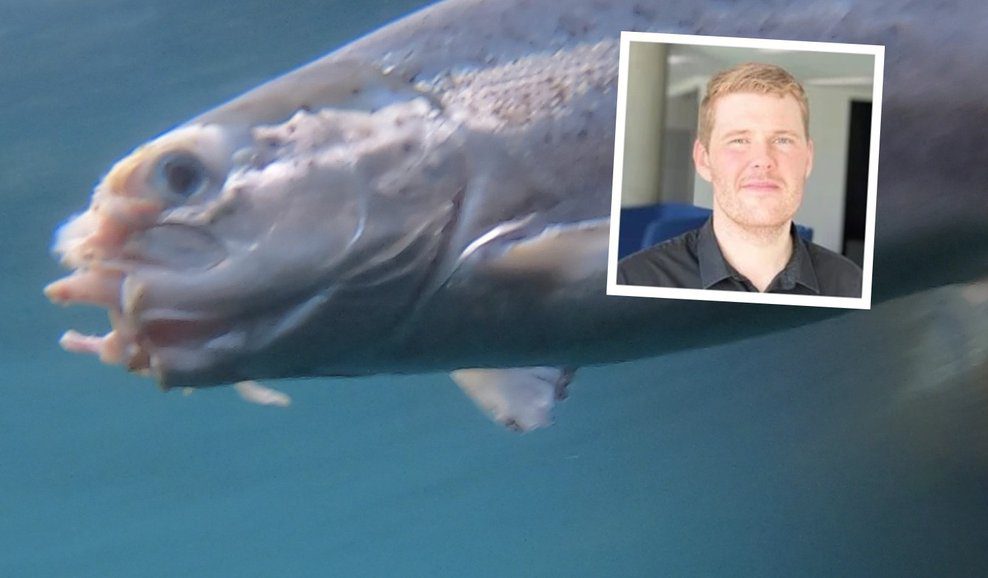 Elvar Örn: Fiskarnir étnir lifandi – Hvetur almenning til að senda myndir